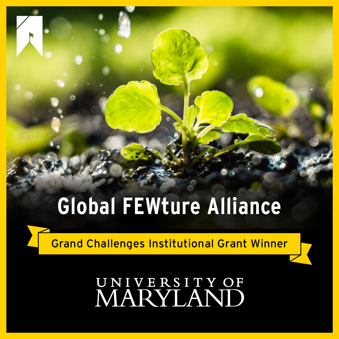 Global FEWture Alliance