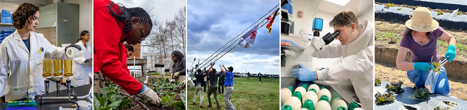 University of Maryland Grand Challenges