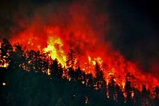 Forested Hilltop engulfed by fire