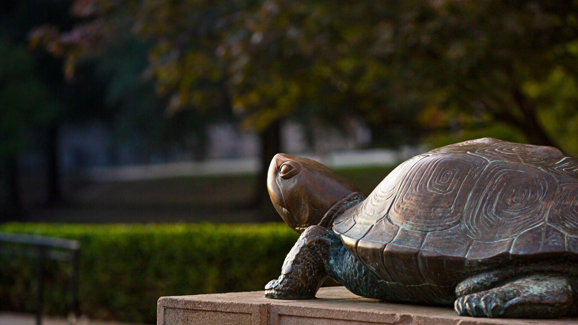 Resources | Division of Research Resources | Division of Research