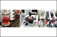 collection of lab equipment in the Shady Grove Biopharmaceutical Advancement Facility