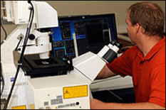 A specialist looks at sampled on a computer screen connected to a high-powered microscope in the foreground