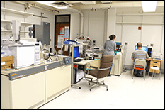 Specialists work in the background of a laboratory at the Mass Spectrometry Facility