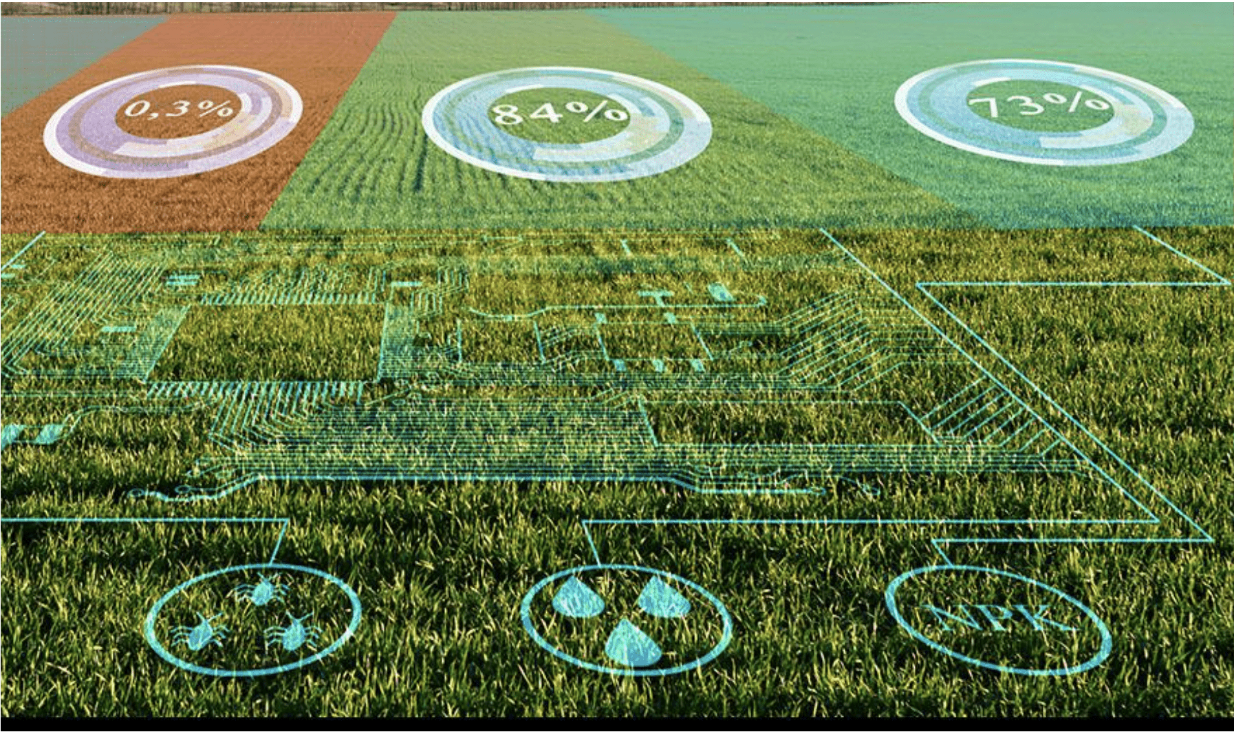 Field with overlayed AI graphics