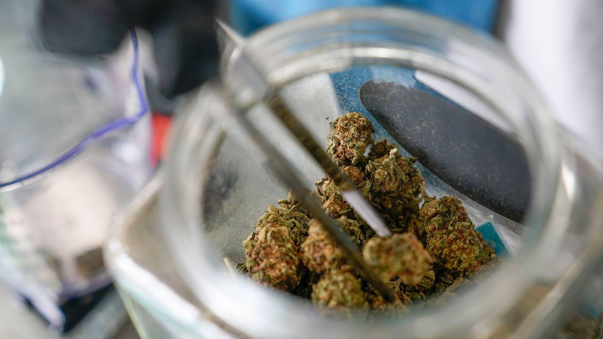 An employee at a New York State dispensary measures out marijuana