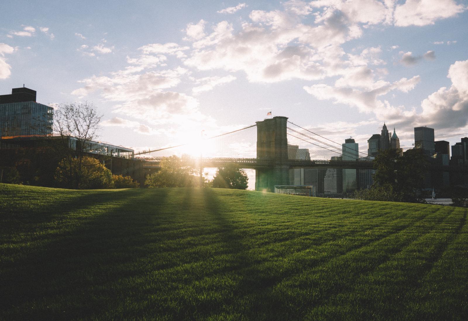 View of the Brooklyn Bridge from a New York City park