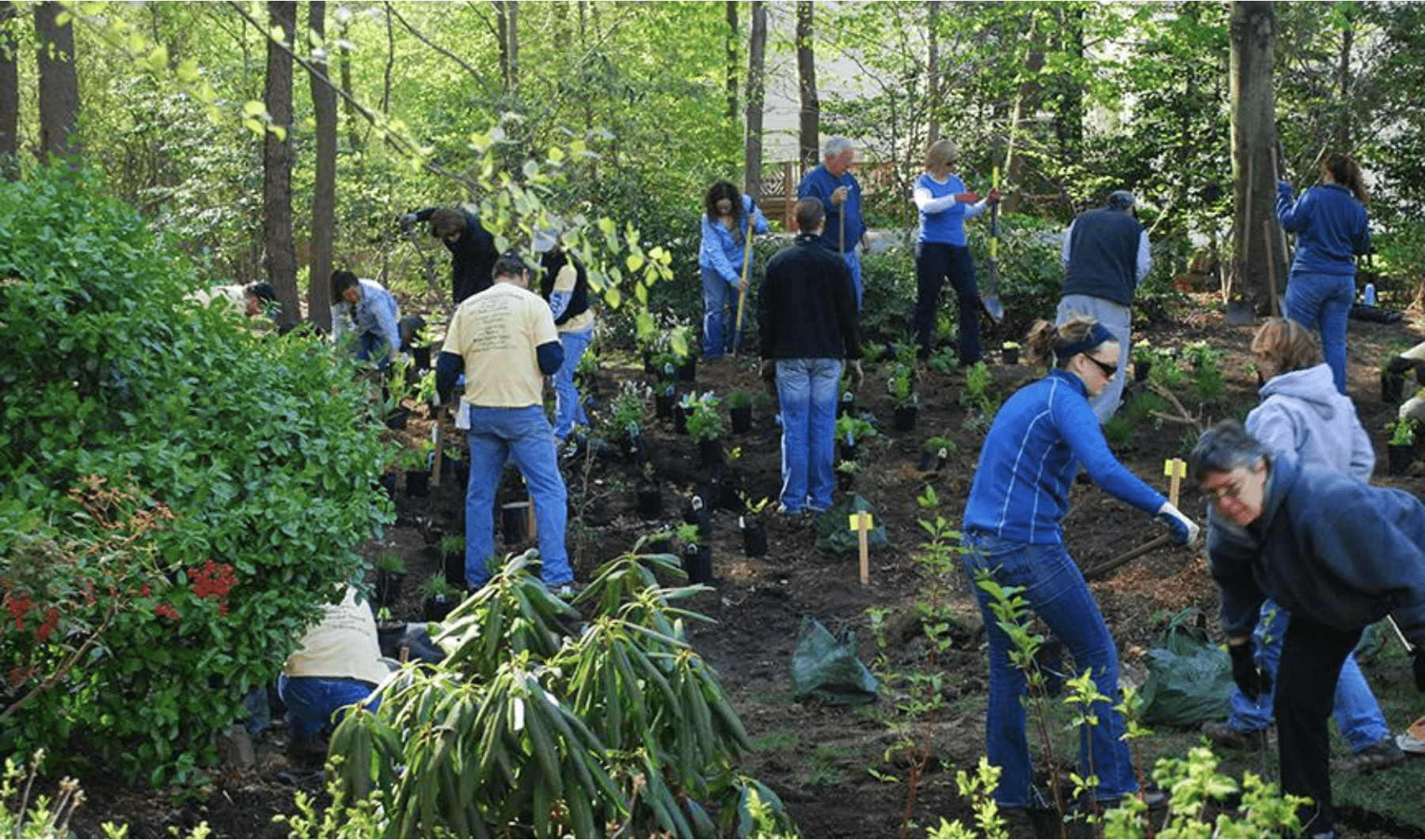 Members of the Watershed Stewards Academy construct a rain garden in Severna Park, Md., on April 10, 2010.