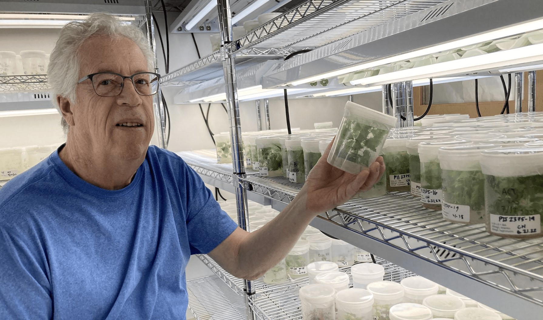 Associate Professor Gary Coleman with a collection of poplar sprouts that he is researching.