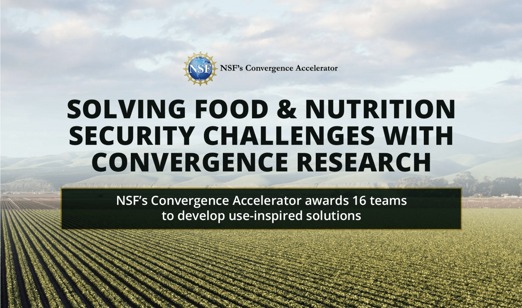 NSF Convergence Accelerator Graphic